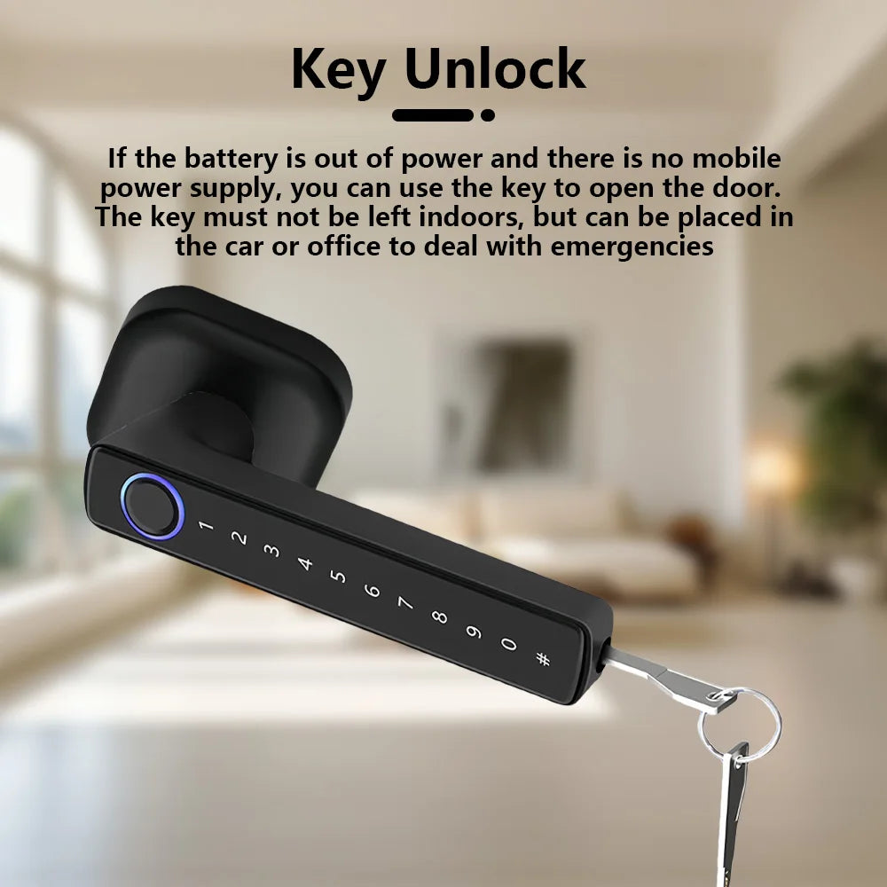 RAYKUBE M6 Tuya BLE Bedroom Digital Electronic Lock Fingerprint Door Lock with Password/Key/IC Card/ Tuya APP Unlock From USA