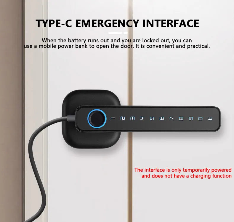 RAYKUBE M6 Tuya BLE Bedroom Digital Electronic Lock Fingerprint Door Lock with Password/Key/IC Card/ Tuya APP Unlock From USA