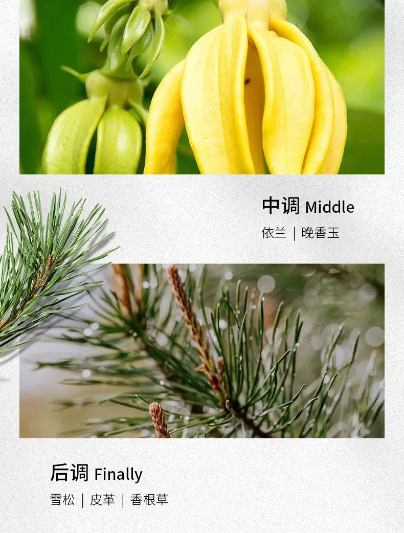 100ml Classic Perfume for Men,Long Lasting Wild & Fresh Fragrance,Charismatic Cologne for Adventure & Dating,Free Shipping USA